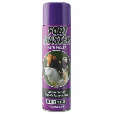 Nettex foot master