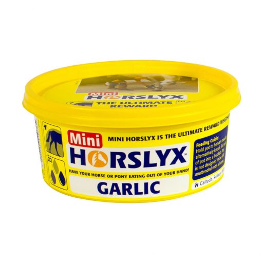 Mini Horslyx Garlic