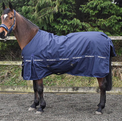 Whitaker Standard Turnout Rug 200gm Red